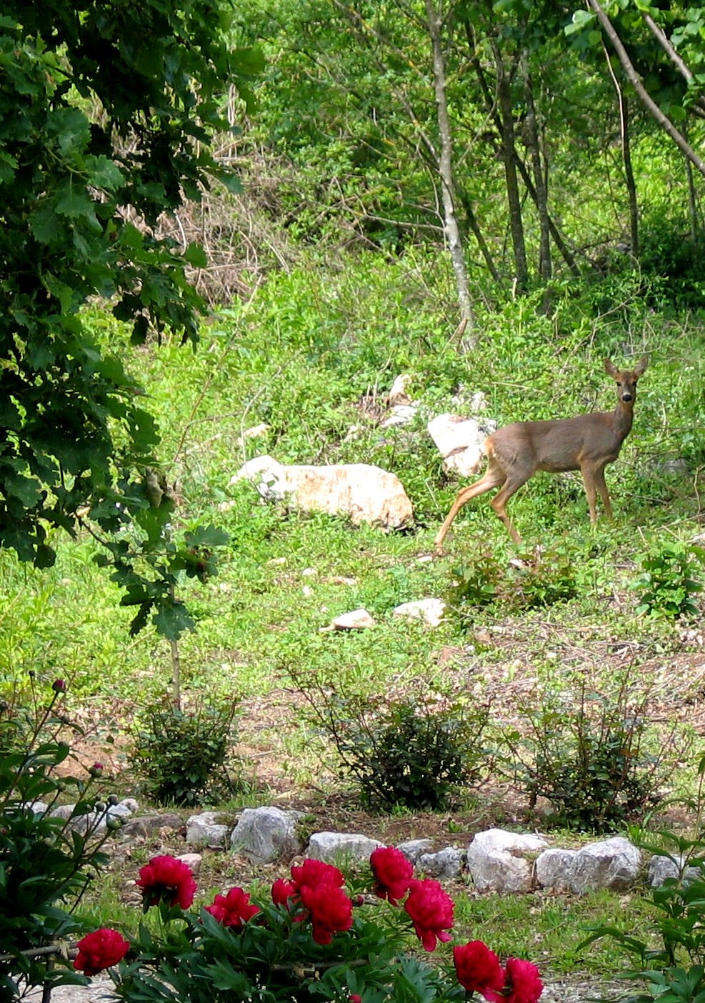 Sobborghi del Bondone